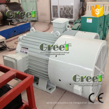 20kw generador de imanes permanentes sincrónico 250 rpm con acero inoxidable